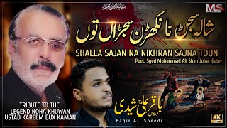 Shala Sajan Na Nikhran  New Noha Shahadat Tiflan e Ameer Muslim  Baqir Mukhtiar Ali Sheedi [upl. by Ainocal434]