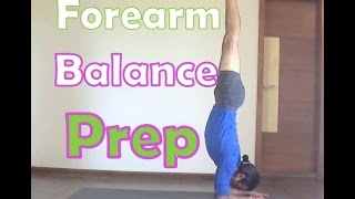 Forearm Balance Preparations  Pincha Mayurasana  Yoga Arm Balance ChallengeWeek 2 [upl. by Timotheus]