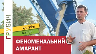 АМАРАНТОВЕ ДИВО Чи Стане Щириця Агропроривом України [upl. by Higbee]