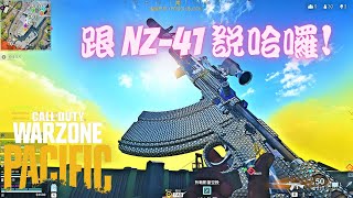 【決勝時刻現代戰域】官方加強NZ41 猛得不像話 NZ41最佳配置 Call of Duty Warzone [upl. by Enawtna]