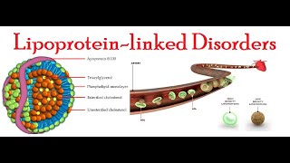 Disorders linked with Lipoproteins [upl. by Hinman]