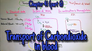 Transport of CO2 in blood Haldane Effect Respiratory exchange ratio Chapter 41 part 6 Guyton [upl. by Jefferey]