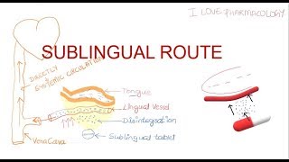 SUBLINGUAL ROUTE [upl. by Nwadahs]