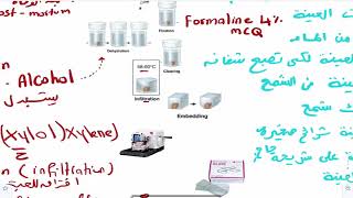 Microtechniques 1paraffin [upl. by Sadler]