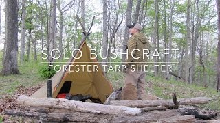 Solo Bushcraft  Forester Tarp Shelter [upl. by Rol]