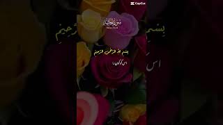 islamicstatus quranrecitation islamicstatusshorts ll subscribe [upl. by Assina268]