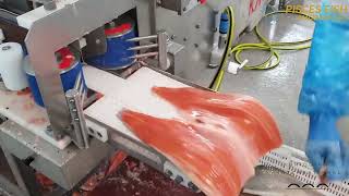 AHF225 Trout Filleting Line HighYield Headcutting and Filleting Solutions [upl. by Leila]