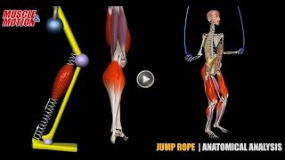 Jump Rope  Anatomical Analysis  Active Muscles [upl. by Nennahs]