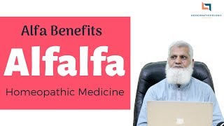 Alfalfa Homeopathic Medicine URDU  What is Alfalfa Tonic Alfa Benefits amp Uses [upl. by Nada61]