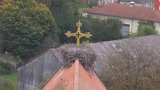 Storchennest Kirche Haag i OB [upl. by Neneek]