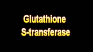 What Is The Definition Of Glutathione S transferase  Medical Dictionary Free Online Terms [upl. by Shear]