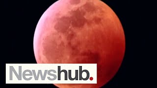 How often does it occur The 2021 blood moon explained  Newshub [upl. by Westfahl656]