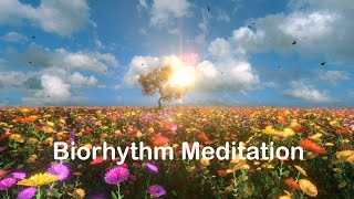 Biorhythm Meditation – Music To Increase Your Vibration And Attract Money Health Love meditation [upl. by Cynera]