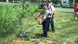 How To Use a Clearing Saw [upl. by Crowns]