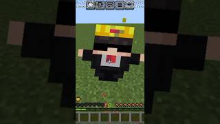 Minecraft Totem Pop My One Totem Waste 💔💔 shortsviral [upl. by Edak817]