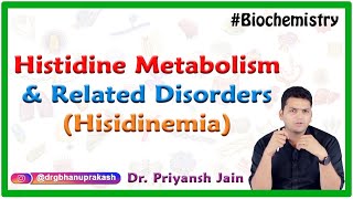 Histidine metabolism and related disorders  Hisidinemia  Medical Biochemistry  Dr Priyansh Jain [upl. by Claude]