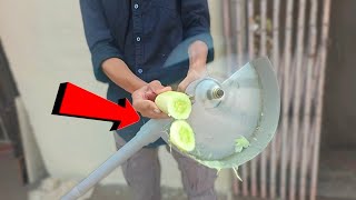 Vegetable Cutting With Grass Cutter amp Slowmo Record  Electric team [upl. by Greenwald488]