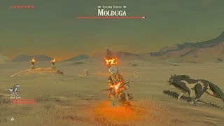 Molduga Trick Shot Master Mode Zelda BotW [upl. by Yks286]