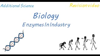 B2 Enzymes In Industry Revision [upl. by Eward]