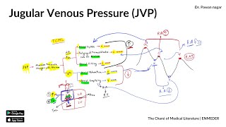 Jugular venous pressure JVP  INICET NEET PG FMGE  Dr Pawan nagar [upl. by Sanjay]