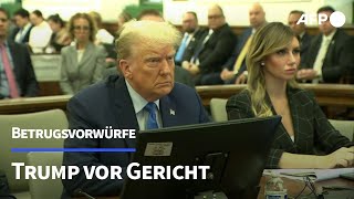 Trump sagt bei Betrugsprozess in New York unter Eid aus  AFP [upl. by Ajiat39]