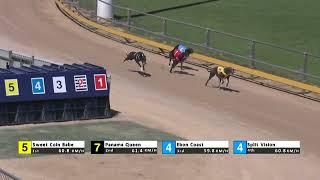 Gawler09102024Race9 [upl. by Buckie]