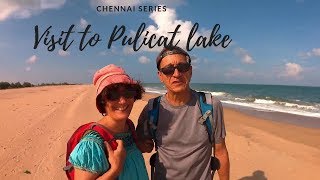 Visit to Pulicat Lake [upl. by Catharina]