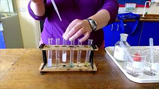 Testing for Cations Using Sodium Hydroxide solution [upl. by Shirl48]