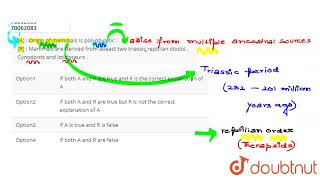 A  Origin of mammals is polyphyletic  R  Mammalsare derived from atleast two triassic rep [upl. by Carlton]