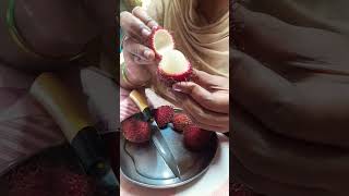 Well today special is litchi fruits nellore litchi nelloriens nellorerockss shortsviral shorts [upl. by Cesaria]