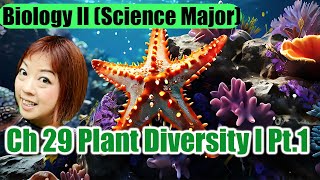 Ch 29 Plant Diversity I Part 1 [upl. by Fischer490]