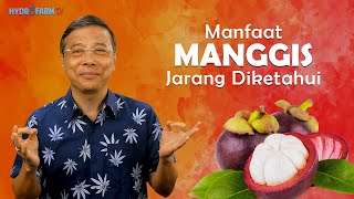 MANFAAT MANGGIS JARANG DIKETAHUI [upl. by Anniram]