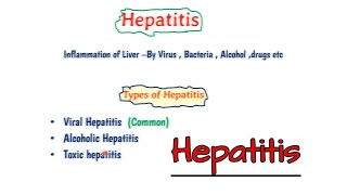 hepatitis in hindi  Viral hepatitis in hindi [upl. by Hui65]