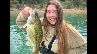 Shasta Lake spring bass bite is on [upl. by Kcuhc]