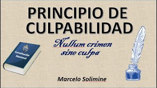 Principio de culpabilidad [upl. by Steck387]