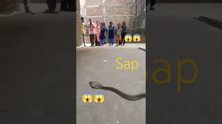 songNAGENA sap funny [upl. by Sunil]