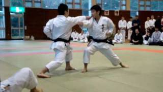 Karate Demonstration [upl. by Scholem702]