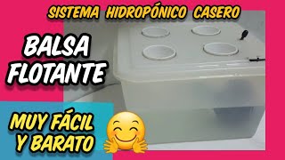 HIDROPONÍA raíz flotante casera 🔥 Sistema de Cultivo hidropónico ✅ PASO A PASO en balsa [upl. by Nihi820]