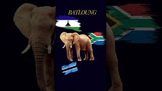 SothoTswana Totems africa botswana southafrica lesotho subscribe like [upl. by Darom]