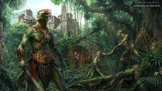 Exploring Elder Scrolls The Argonians of Black Marsh [upl. by Nosnirb]