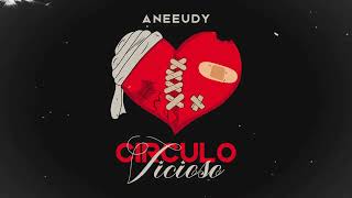 Aneeudy  CIRCULO VICIOSO Video Cover [upl. by Eleen]