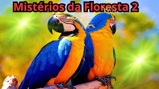 Amazônia Selvagem  Berço da vida Documentário dublado 2024 Parte 2 [upl. by Dwayne448]