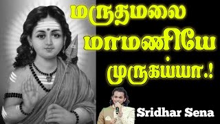 மருதமலை மாமணியே முருகய்யா  Sridhar Sena  Devotional Song in Tamil  Marudhamalai Maamaniye [upl. by Richer]