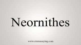 How To Say Neornithes [upl. by Airitac]