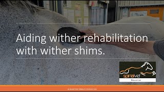 Shimming to help rehabilitate the horses wither [upl. by Dilaw]