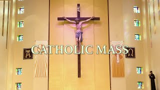 Roman Catholic Mass for May 19th 2024 Pentecost Sunday [upl. by Ruford]