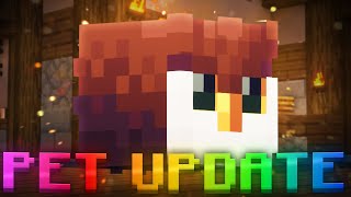 THE NEW PET UPDATE IS AMAZING Hypixel Skyblock IRONMAN [upl. by Cost]