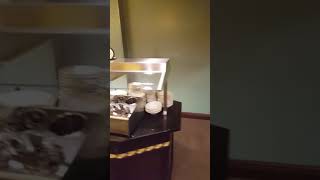 Rosen Inn at Pointe Orlando breakfast buffet Enjoy from Oscursions [upl. by Eruot110]