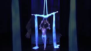 Aerial silks duo [upl. by Olpe]