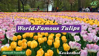 Stunning Keukenhof Gardens WorldFamous Tulips  Netherlands 4K [upl. by Belak]